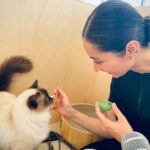 Kavka Shishido Instagram - . . ２週に渡ってお送りしました カラサタ in 猫カフェ . ザッツな猫撫で声で話し続けておりましたが ちゃんとお伝え出来ていましたでしょうか . . Moff animal cafe グランベリーパーク店にいる猫ちゃんたちはみんな穏やかで 気ままにそれぞれの時間を過ごす事の出来る素敵な空間でした . 人生初の猫カフェ 癒されたー . . 猫はやはり 良いですね . . @moff_grandberrypark