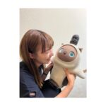 Kayako Abe Instagram - ♪ ちょこっと事務所に遊びに行ったらこの子がいました🐶 笑顔で話しかけても 違うとこ見てるし 呼んでも来ないし 最後まで微妙な距離感だったけど かわいかったです🫨 セントちゃんです♡