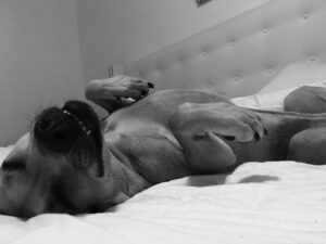 Kelli Giddish Instagram - #findfran ...it's not that hard to do after a day at the beach