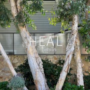 Kelly Noonan Instagram - What a beautiful, amazing, abundant HEALing event. 🤍

I am beyond grateful to spend the day in Malibu with all these amazing souls 

Thank you @kellygores and the HEAL Documentary @healwithkelly for hosting and supporting us all and the universe in coming together to heal. 

I feel blessed to share healing energy with you all. I am so grateful. 

#heal #healingjourney #healdocumentary #healmovie