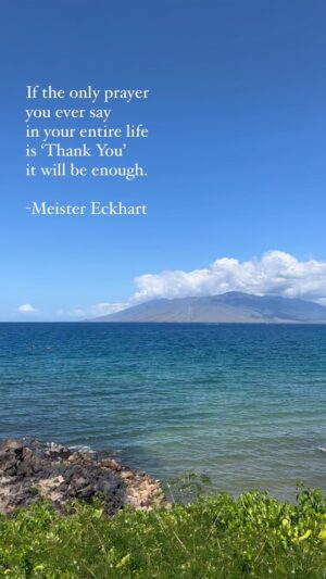 Kelly Noonan Instagram - Concur 🙏🏽 #gratitude #acceptance #grace #resonance