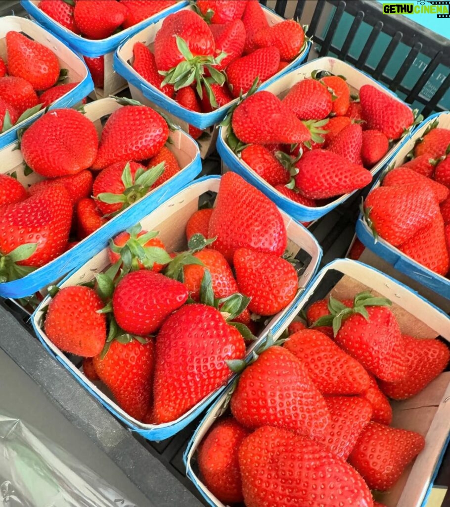 Kelly Helard Instagram - Jour de marché au lavandou Le kiff de ramener tout ça !! J’ai retrouvé @lemarchedejuly où on a pu goûter à beaucoup de fruits et légumes un bonheur #produitoffert Qu es ce que vous achetez vous au marché ?