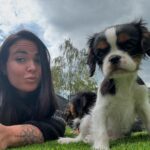 Kelly Helard Instagram - Bonjour bébé Nala 2 mois cavalier King charles comme sa grande sœur !! Un vrai bonheur vous verrez leur rencontre dans mamans et célèbres 🥰🥰🥰🥰 @elevagedelarichardelle merci 🙏 #zeropartenariat et merci aussi à notre ami @cyno_wild_academy pour avoir été présent lors de la présentation de nos 2 princesses ( être accompagné par un dresseur est tellement rassurant , vous me verrez paniqué )