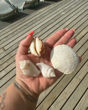 Kelly Helard Instagram - Jour 2 aux Maldives !!
Du repos j’en voulais j’en ai eu !! 
Piscine et plage j’alterne j’ai pas de préférence !! 
Une eau magnifique et un sable grave blanc !!