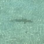 Kelly Helard Instagram - On va explorer un peu les profondeurs des Maldives ….