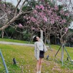 Kendra Sow Instagram – 元宵节快乐！
送上一组粉粉的桃花照🌸💗🎆