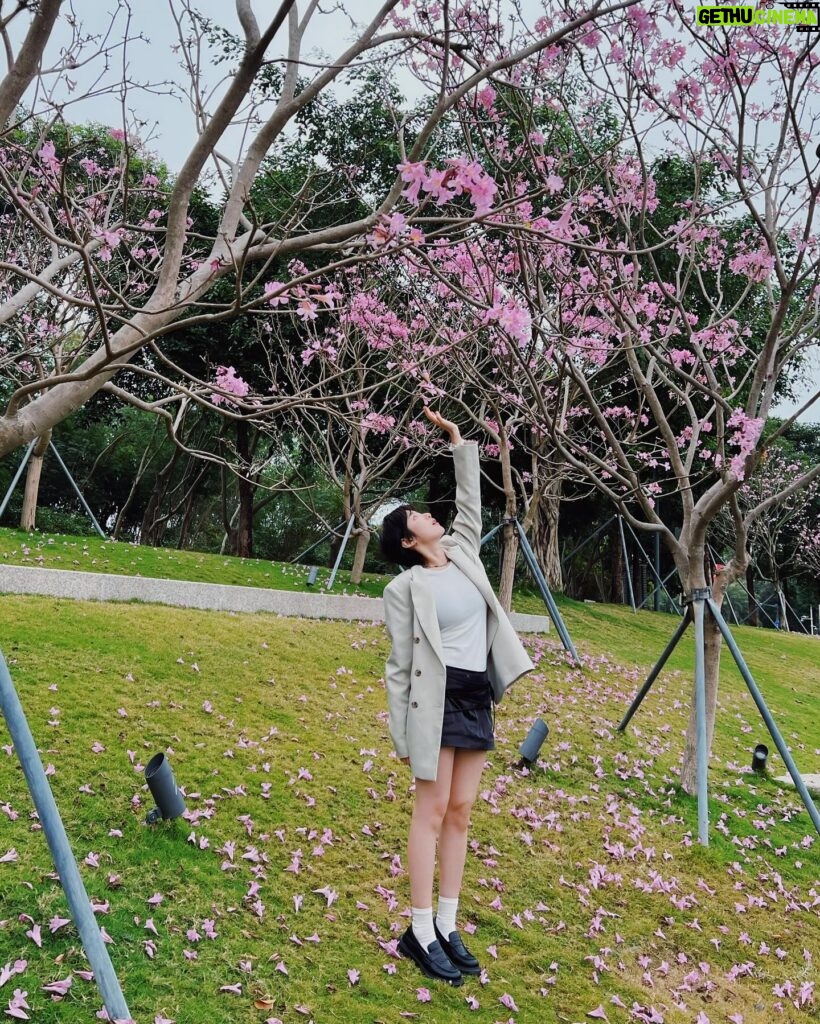Kendra Sow Instagram - 元宵节快乐！ 送上一组粉粉的桃花照🌸💗🎆
