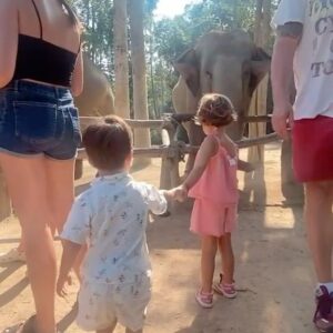 Kenza Saïb Couton Instagram - THAÏLANDE SPAM PART 2 🐘🤍🌴

PS : J’en profite pour vous rappeler que les balades à dos d’éléphants sont à proscrire, mais qu’il existe de superbes sanctuaires, comme celui que nous avons visité à Koh Samui pour approcher ces animaux majestueux ! 🤍 @elephantjsanctuary se consacre à la réhabilitation et à la protection de ces animaux qui n’ont connu que la captivité et qu’on ne pourrait malheureusement plus intégrer à leur habitat naturel, tout en les chouchoutant. C’était top, les enfants et les grands étaient émerveillés ! 🐘💚
