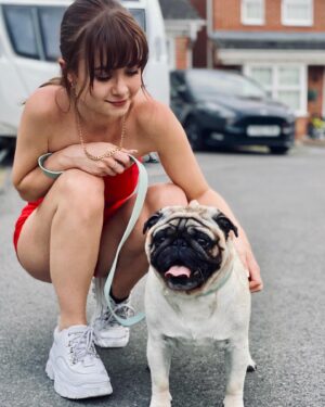 Kerry Ingram Instagram - Look at my handsome boy in his @buddyandbone new vegan collar and lead😍  #pr