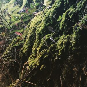Kestie Morassi Instagram - Grand Canyon Hike in Blackheath