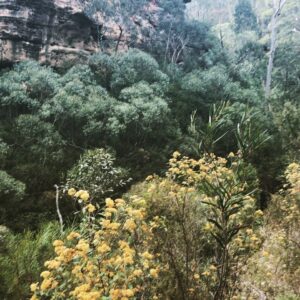 Kestie Morassi Instagram - Grand Canyon Hike in Blackheath