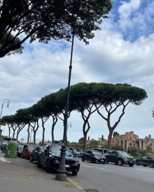 Kethelllen Avelino Instagram - Nossas aventuras em Roma 🇮🇹🙏🏽🫶🏻
Love you baby❤️