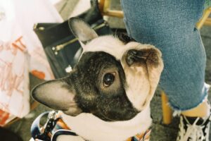 Kia Pegg Instagram - Happy birthday, little frog