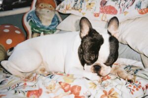 Kia Pegg Instagram - Happy birthday, little frog