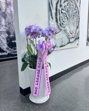 Kim Gyu-ri Instagram - 이번 #lostfangs잃어버린송곳니 전시가
마지막을 향해 가고 있는데요..
.
센스가 넘치는 꽃바구니.
럭스의 #은화얌 넘 고마웡~😭💕
바쁜 스케쥴에도 
전시관에 들러준 #채원언니!!엉엉🙏🌹💕
#마동석형님 #결혼 진심으로 축하드립니다.
#크라잉넛_경록오빠 
매 전시때마다 응원주셔서 진심으로 감사드려용 😭🙏💕
.
인연을 소중하게 여겨주셔서 감사드립니다.
#정명근화성시장님
#권칠승국회의원님
#이해남의원님
#장민기대표님_화성시문화체육특별보좌관님
#최강욱의원님 
#한국방송연기자노조_탤런지부
진심으로 감사드립니다❤️ 
.
그리고 보내주신 꽃다발을 
사진으로 다 담지 못했네요. 이해부탁드립니다. 죄송해용 ㅠㅠ

전시장을 꽃향기 가득한 꽃밭으로 만들어주신 
많은 분들께….다시한번 진심으로 감사드립니다!!!
.
이번 전시는 사실..
시간적으로도 부족했고,
제가 너무 정신이 없던터라..
일일이 초대장도 제대로 못 보내드렸어요..ㅠㅠ
그런데도 불구하고
정말 많은 분들께서 함께 해주셨습니다
그 모든 분들께
진심으로 감사드립니다 ㅠㅠ🙏💕
.
이제 내일 하루가 저에게는 마지막이네요 ㅠㅠ
축제와도 같은 시간들이였습니다.
기쁜마음으로
마지막으로 전시장에서 기다릴께욤.
.
전시는 5월31일까지인데요
제가 31일 금요일에는 
화성시 홍보대사로 정식 임명을 받는 날이라서
#화성시뱃놀이축제 에 참석하러 갑니다
그래서 부득이하게
내일 하루…마지막으로 
전시장에 오시는 분들께
도슨트를 해드릴 수 있을것 같습니다.
.
내일 잘 마무리 하고 오겠습니다.
너무 아쉽당 흑흑 ㅠㅠ
.
모두에게 진심으로 감사드립니당!!!
혹시
마지막 도슨트 듣고 싶으신 분들은
낼이 마지막이니 꼭 와주세염!!!!!
편안한 밤 되세용!!!!!
.
.
 #전시는5월31일까지
#내일은마지막도슨트날
#작품설명이궁금하신분들은_유툽_김규리tv몹시
#포스아트갤러리미호 #포스코스틸리온