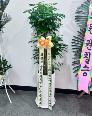 Kim Gyu-ri Instagram - 이번 #lostfangs잃어버린송곳니 전시가
마지막을 향해 가고 있는데요..
.
센스가 넘치는 꽃바구니.
럭스의 #은화얌 넘 고마웡~😭💕
바쁜 스케쥴에도 
전시관에 들러준 #채원언니!!엉엉🙏🌹💕
#마동석형님 #결혼 진심으로 축하드립니다.
#크라잉넛_경록오빠 
매 전시때마다 응원주셔서 진심으로 감사드려용 😭🙏💕
.
인연을 소중하게 여겨주셔서 감사드립니다.
#정명근화성시장님
#권칠승국회의원님
#이해남의원님
#장민기대표님_화성시문화체육특별보좌관님
#최강욱의원님 
#한국방송연기자노조_탤런지부
진심으로 감사드립니다❤️ 
.
그리고 보내주신 꽃다발을 
사진으로 다 담지 못했네요. 이해부탁드립니다. 죄송해용 ㅠㅠ

전시장을 꽃향기 가득한 꽃밭으로 만들어주신 
많은 분들께….다시한번 진심으로 감사드립니다!!!
.
이번 전시는 사실..
시간적으로도 부족했고,
제가 너무 정신이 없던터라..
일일이 초대장도 제대로 못 보내드렸어요..ㅠㅠ
그런데도 불구하고
정말 많은 분들께서 함께 해주셨습니다
그 모든 분들께
진심으로 감사드립니다 ㅠㅠ🙏💕
.
이제 내일 하루가 저에게는 마지막이네요 ㅠㅠ
축제와도 같은 시간들이였습니다.
기쁜마음으로
마지막으로 전시장에서 기다릴께욤.
.
전시는 5월31일까지인데요
제가 31일 금요일에는 
화성시 홍보대사로 정식 임명을 받는 날이라서
#화성시뱃놀이축제 에 참석하러 갑니다
그래서 부득이하게
내일 하루…마지막으로 
전시장에 오시는 분들께
도슨트를 해드릴 수 있을것 같습니다.
.
내일 잘 마무리 하고 오겠습니다.
너무 아쉽당 흑흑 ㅠㅠ
.
모두에게 진심으로 감사드립니당!!!
혹시
마지막 도슨트 듣고 싶으신 분들은
낼이 마지막이니 꼭 와주세염!!!!!
편안한 밤 되세용!!!!!
.
.
 #전시는5월31일까지
#내일은마지막도슨트날
#작품설명이궁금하신분들은_유툽_김규리tv몹시
#포스아트갤러리미호 #포스코스틸리온