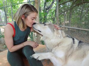 Kim Matula Instagram - I went to Sedona this weekend and all my dreams came true 🐺 #wolfsanctuary