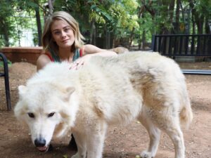 Kim Matula Instagram - I went to Sedona this weekend and all my dreams came true 🐺 #wolfsanctuary