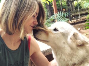 Kim Matula Instagram - I went to Sedona this weekend and all my dreams came true 🐺 #wolfsanctuary
