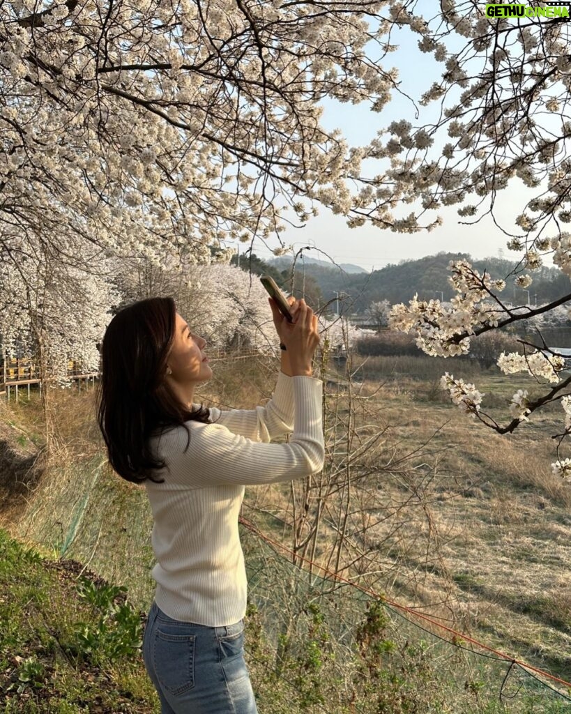 Kim Ha-neul Instagram - 봄봄봄, 봄이 왔어요~🌸
