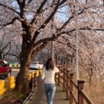 Kim Ha-neul Instagram – 봄봄봄, 봄이 왔어요~🌸