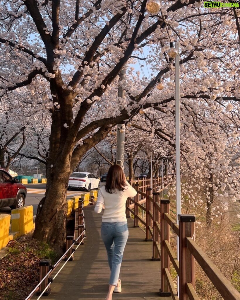 Kim Ha-neul Instagram - 봄봄봄, 봄이 왔어요~🌸