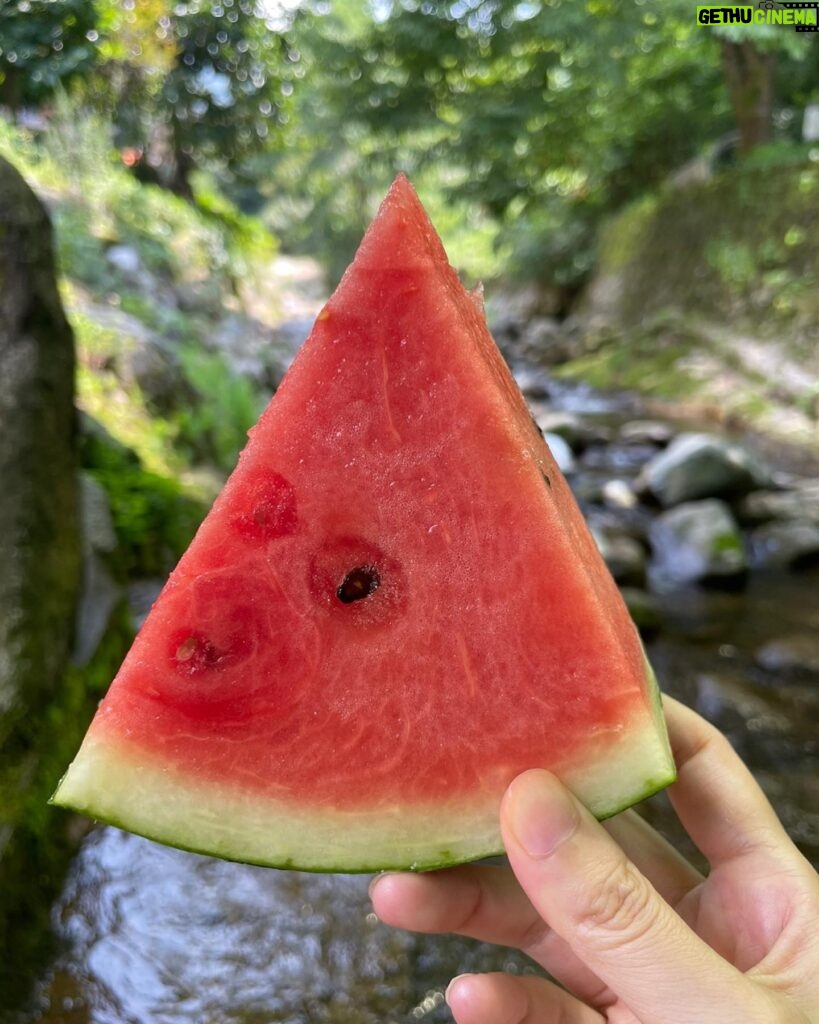 Kim Ha-neul Instagram - 너무 더운 여름날~ 사진보고 힐링 되세요💪😎🍉⛱️ #여름나기