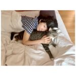 Kim Hee-ae Instagram - . 요즘 근황 -> 춘식이 엄마 😺 평화로운 제주에서의 일상을 가득 채워주는 우리 집 냥이에요 😻😽 춘식이가 단잠을 깨워도 그저 사랑스러운 집사의 삶 🤍 #김희애 #KIMHEEAE #냥집사 #춘식이는 #이불정리면제 #귀여우니까 @yg_stage