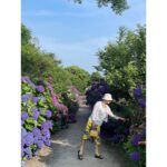Kim Hee-ae Instagram - . 오랜만에 전하는 일상 🤍 지금 제주는 수국의 계절 #KIMHEEAE #김희애 @yg_stage
