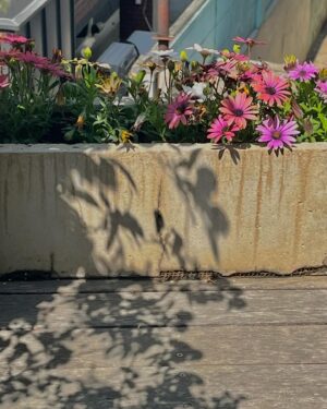 Kim Hye-jun Instagram - 지난 8년간 앤드마크와 함께여서 
진심으로 행복했고 고마웠어요🙏
