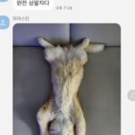 Kim Hye-jun Instagram - 네…