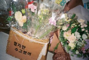 Kim Hye-jun Instagram - jiani film📸