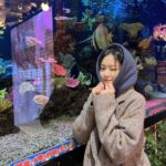 Kim Hyun-jin Instagram - 🐠