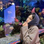 Kim Hyun-jin Instagram - 🐠