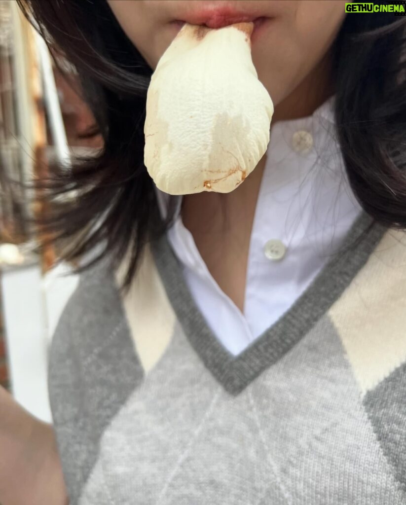 Kim Ji-eun Instagram - 🌸🌿🌼🌱🌹