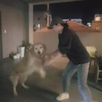 Kim Mi-kyeong Instagram - 한밤의 난투극 야 임마 먹는거 아니라고!!!!!