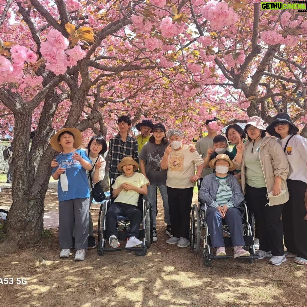 Kim Mi-kyeong Instagram - 불국사에서 만난 천사같은분들. '동해시 장애인 단기 보호센터' 에 계시는 분들이 왕벚꽃 나들이를 나오셨어요. 너무 반가워해 주시고 좋아해 주셔서 감사했습니다. 곱고 환한 벚꽃처럼 언제나 행복하시길 기원합니다. ♥️♥️♥️♥️♥️