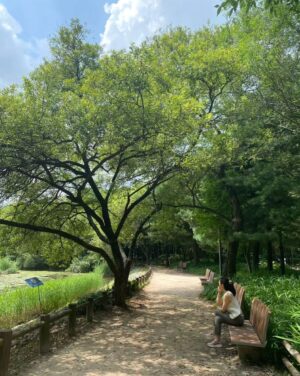 Kim Min-jung Instagram - .
이토록 보통의 , 

-SUMMER '23-