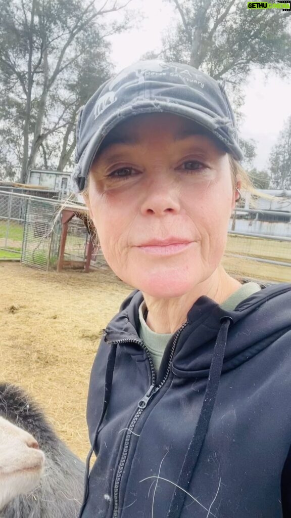 Kim Rhodes Instagram - I love goats. That is all. #rescue