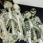 Kim Rhodes Instagram - I hate to put the Halloween decorations away. They look like they’re still having so much fun…