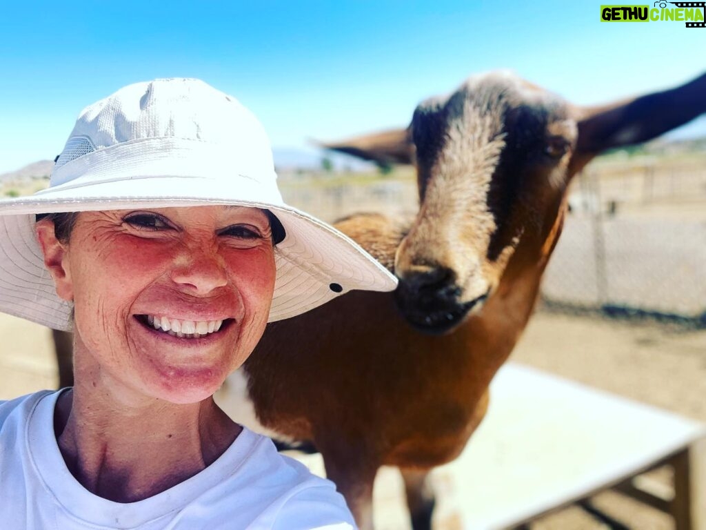 Kim Rhodes Instagram - Good morning, from all of us here on the rural picket line! I may not be in a position to march, but @shopstands and I are working on a special way to help. (The goats just support anything that involves resistance.)