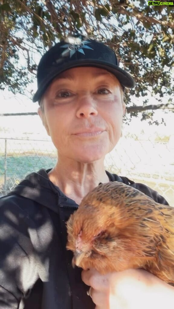 Kim Rhodes Instagram - Just out here sharing my mad animal skillz. #goats #chickens #rescue