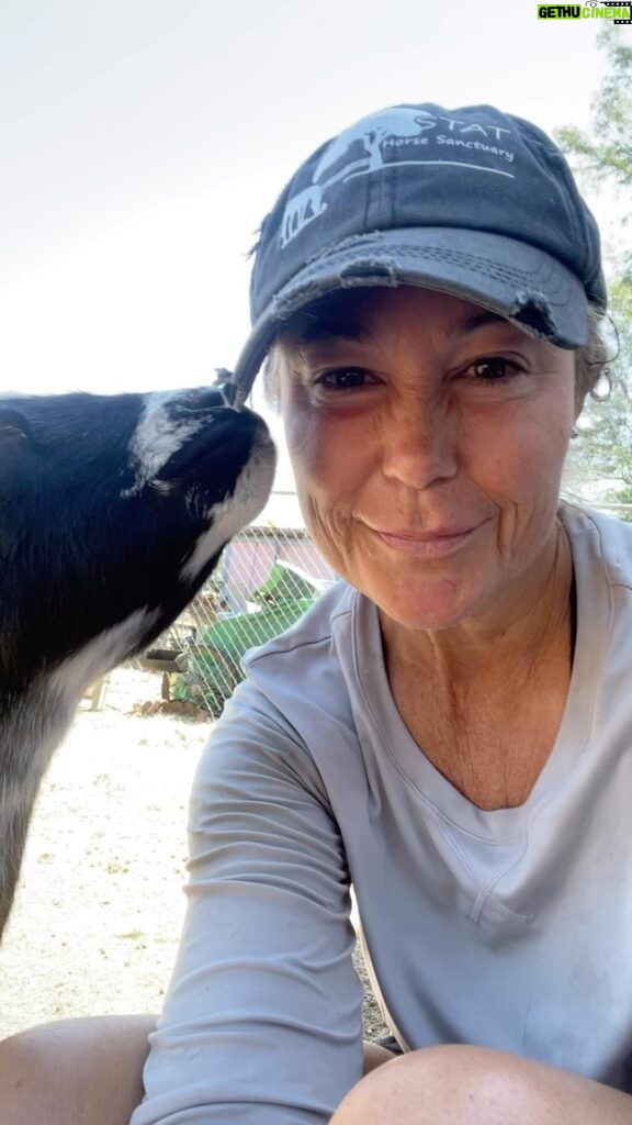 Kim Rhodes Instagram - Goat content. And love. 💖