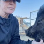 Kim Rhodes Instagram – I love Mo. He is very charming. #pig #rescueanimals