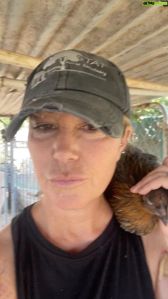 Kim Rhodes Instagram - This bird is the absolute cuddliest. And, no, I did not ever think my life would include that sentence.