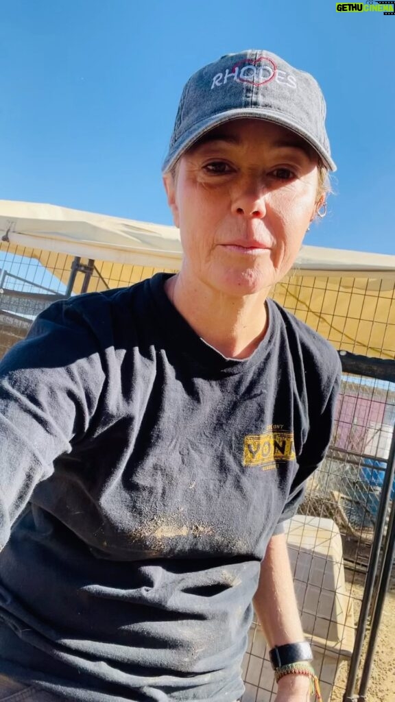 Kim Rhodes Instagram - Sometimes people ask if I’m respecting the goat’s’ boundaries with my incessant love. In response, I would like to point out that my jugular remains unpunctured. (This is Skip. If you’d like to help feed Skip or any other of my beloved friends, they all live at @stathorsesanctuary and welcome your donations.)