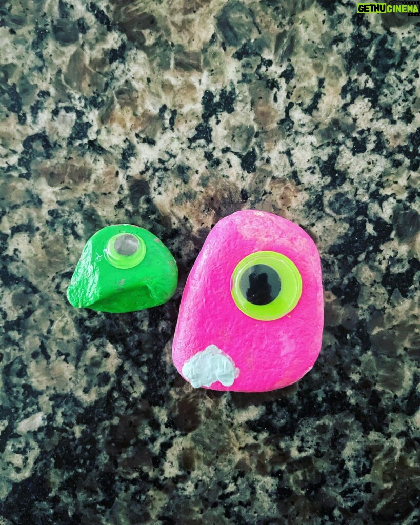 Kim Rhodes Instagram - My daughter, out of the blue, asked to paint some rocks.