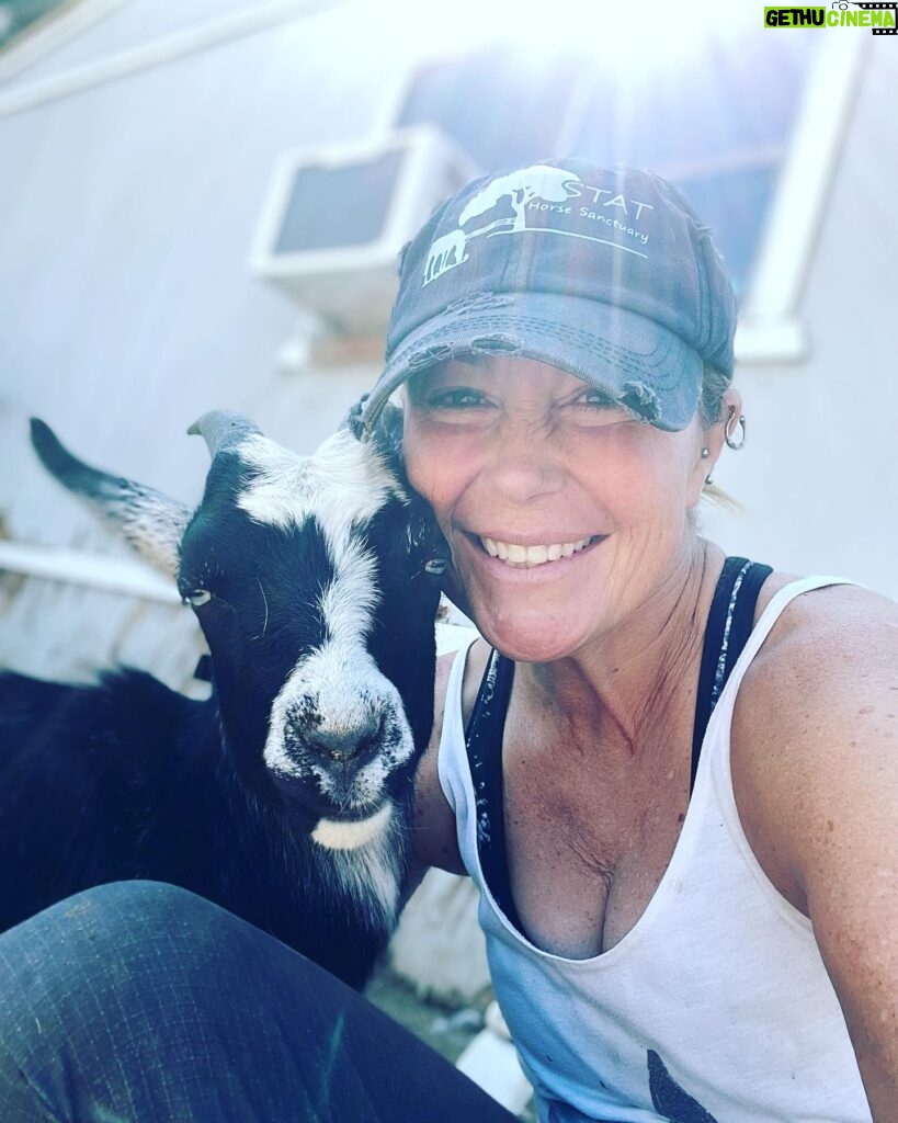 Kim Rhodes Instagram - Come onnnnnn. I know. You want Suite Life Brothers or Winchester Guys or Fit Checks. Don’t. Care. You’re getting more goats.