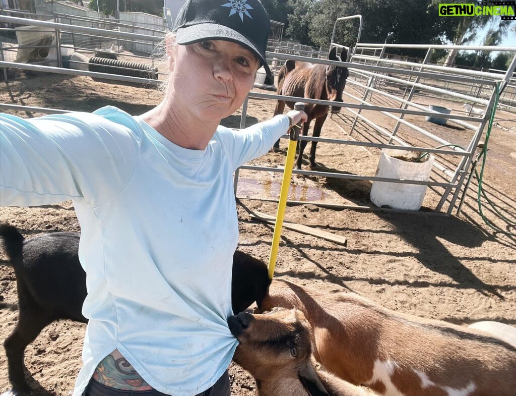 Kim Rhodes Instagram - When goats help. #goat #nothelping