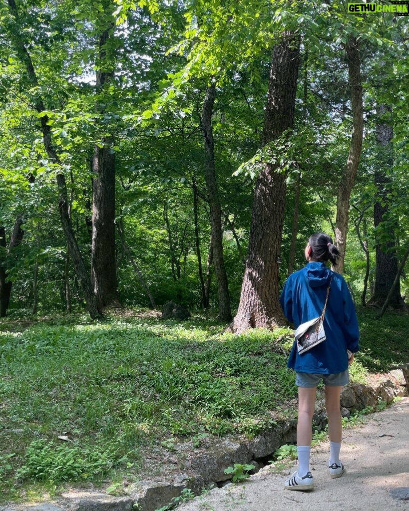 Kim Yoon-hye Instagram - 🌲🌳🍃🐈‍⬛🏃🏻‍♀️